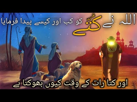 कुत्ते की पेदाइस  कैसे हुई |Allha ne kutte ko kaise paida farmaya