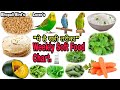 Budgies Weekly Soft Food Schedule Bhopali Bird S Lover S