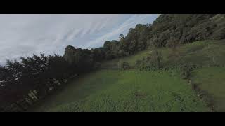 Cinematic Relaxing Forest Flight Drone FPV
