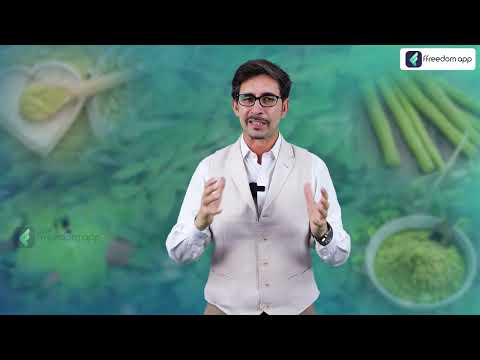 organic Morinda farming / सहजन की खेती