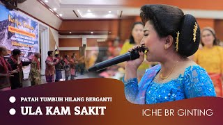 Download lagu ICHE BR GINTING - PATAH TUMBUH HILANG BERGANTI & ULA KAM SAKIT mp3 Download lagu ICHE BR GINTING - PATAH TUMBUH HILANG BERGANTI & ULA KAM SAKIT mp3