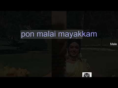 Rajavin Paarvai | Karaoke With Lyrics Eng & हिंदी