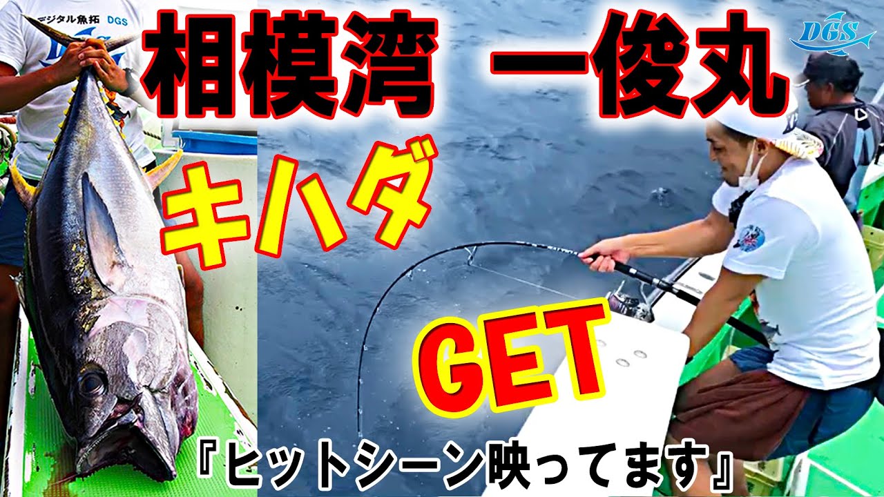 【今年の相模湾のキハダも激熱】シーズン初挑戦で早速キハダ釣りました！