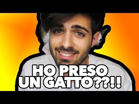 Il parassita di frase di Lei sa Comesser trattato vermi rotondi