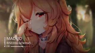 『RISE』盾の勇者の成り上がりOP歌ってみた【あきを】