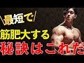 【20kg増量⁉️】筋肉をデカくするためのマル秘話