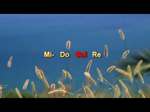 Noi Predichiamo Cristo - Corrado Salmè