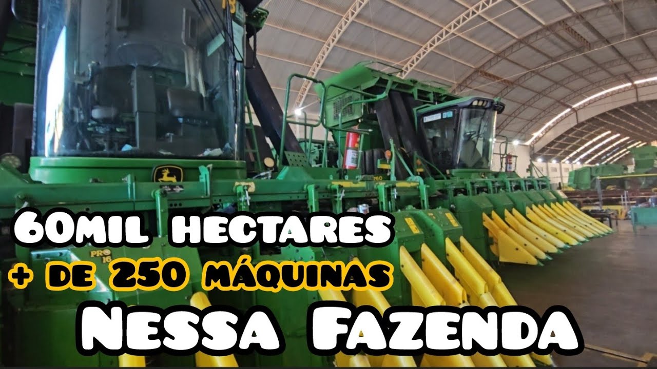 MAIS DE 60MIL HECTARES DE PLANTIO NESSA FAZENDA || INCRÍVEL