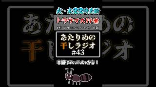 【火曜・木曜22時に配信！】どこからでも入ってくるなこいつら　[あたりめの干しラジオ#43 切り抜き］　#short #ラジオ #切り抜き