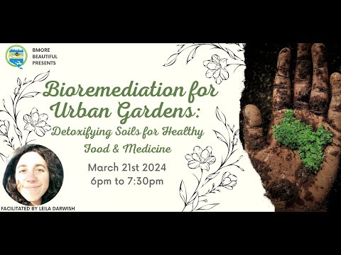 Bioremediation for Urban Gardens
