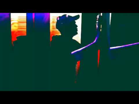 WOLNY WODNIK - CO SIĘ STAŁO?