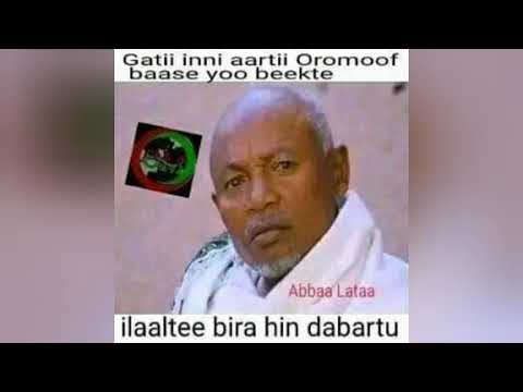 jamaree keol negasaa new music 2023