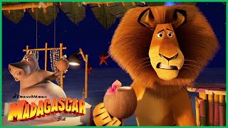 Você Chama Isso de Comida? | DreamWorks Madagascar em Português