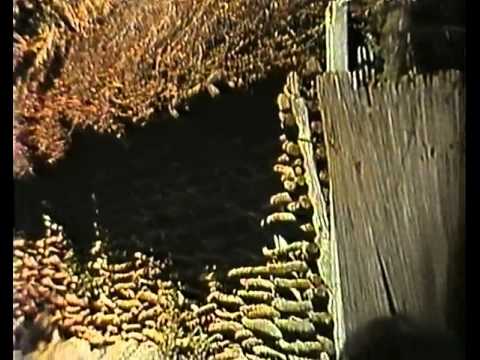 Ștefan Petrache - Casa părintească