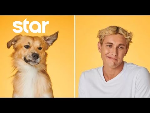 GNTM 3 | Τετράποδοι φίλοι σετάρονται με τα χαρακτηριστικά τους & φωτογραφίζονται με τους υποψήφιους!