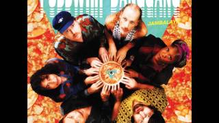 Pusswhip Banggang - Jambalaya