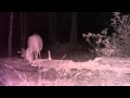 6point2 MOV