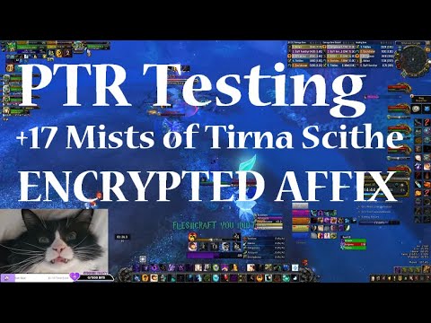 +17 Mists of Tirna Scithe PTR Testing | Shadow Priest PoV M+ Shadowlands Season 3 Mythic Plus