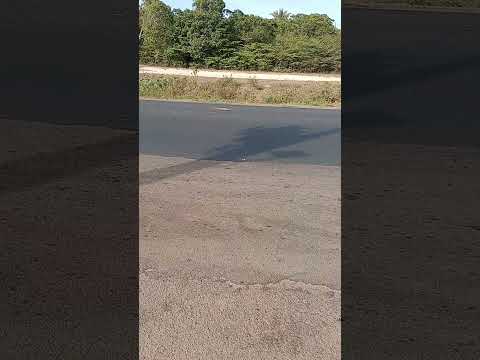 Ma 014 entrada de Palmeirândia Maranhão