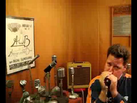 RCA/Shure Bullet Harp Mic Controlled Magnetic, re-built