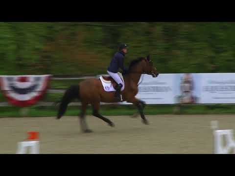 Video of E.S. DIATHAGO 2 ridden by STELLA STINNETT from ShowNet!