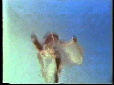 Portugal 1982 - Doce - Bem Bom - Preview.mp4