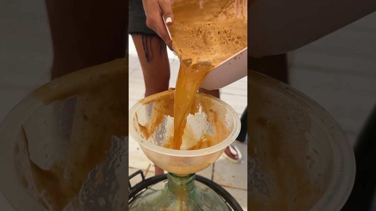 Домашний сидр из яблок. Яблочный сидр рецепт