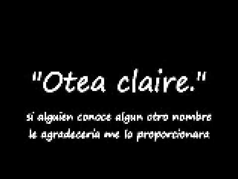 otea claire