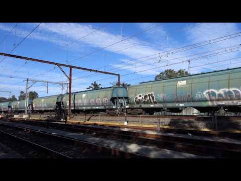 MZ1435 / 1103 with a Qube Grain - 5/3/15