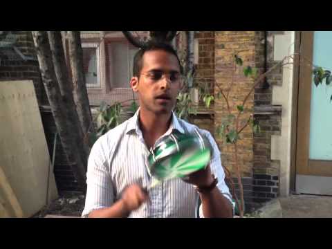 Mangueira 2010 tam line with Vik!