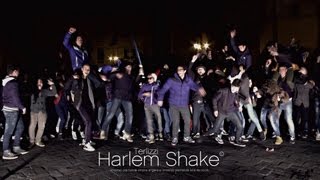 preview picture of video 'Harlem Shake - Terlizzi'