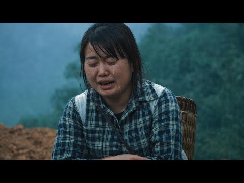 Single Mother Sung Luyen’s Heart Shattered After Discovering CEO James’ Secret