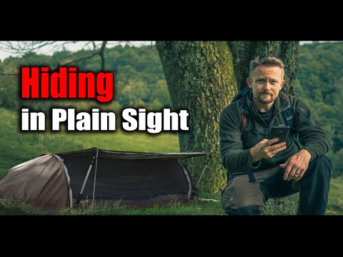 Solo Stealth Camping Adventure in a Park