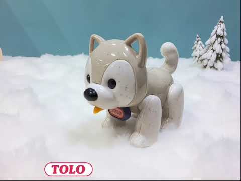 TOLO FIRST FRIENDS HUSKY