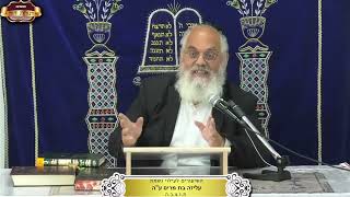 למה אנחנו לא מפחדים מיום הדין? וכיצד נתכונן ליום הדין? ¤ הרב אברהם כהניאן ¤ ל' אב תשפ"ה (24.8.2024) (מוסדות תורת דוד) - התמונה מוצגת ישירות מתוך אתר האינטרנט יוטיוב. זכויות היוצרים בתמונה שייכות ליוצרה. קישור קרדיט למקור התוכן נמצא בתוך דף הסרטון