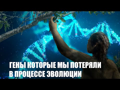 Гены которые мы ПОТЕРЯЛИ в процессе эволюции