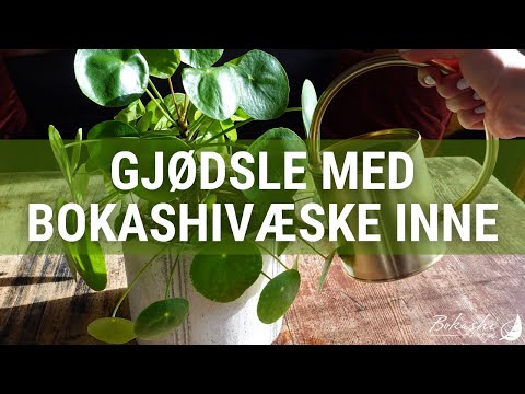 Gjødsle planter innendørs med bokashivæske