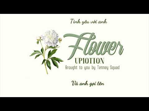 [VIETSUB] UP10TION Sunyoul, Hwanhee, Wei - Flower (OST Ms Ma, nemesis)