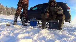 Рыбалка в ханты мансийска фион