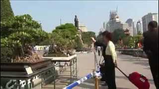 Download lagu Bonsai_Cina Mostra Internazionale 2010_Parte 1 - Guangzhou Parco Zhongshan.flv mp3