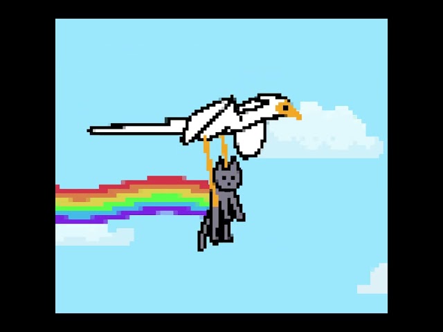 Nyan cat but make it FLOW 🐈‍⬛ featuring Secretarybird and Cat