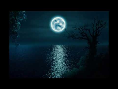 DIP Project - Тайная ночь