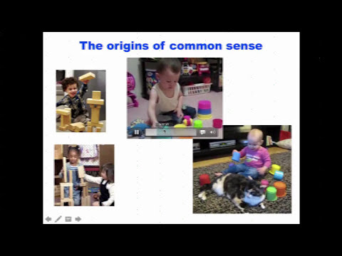 Engineering & Reverse-Engineering Intelligence Using Probabilistic Programs - NIPS (NeurIPS) 2017