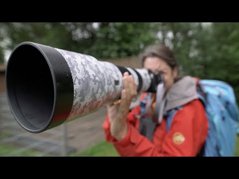 Tierfotografie mit APS-C oder Vollformat Kamera - Im Tierpark fotografieren