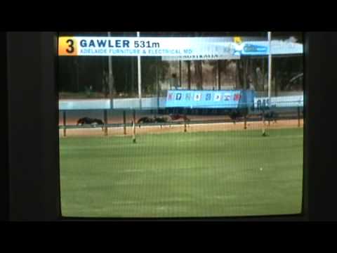 OLIVER SUDDEN RACE GAWLER 24/03/09 3rd