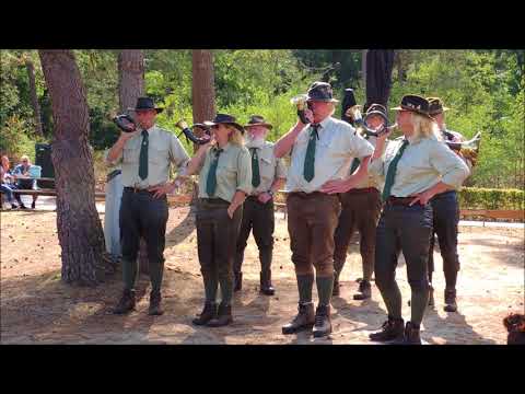Mijn film   Jagers spelen op hun jachthoorn op de Hoge Veluwe   2 september 2018