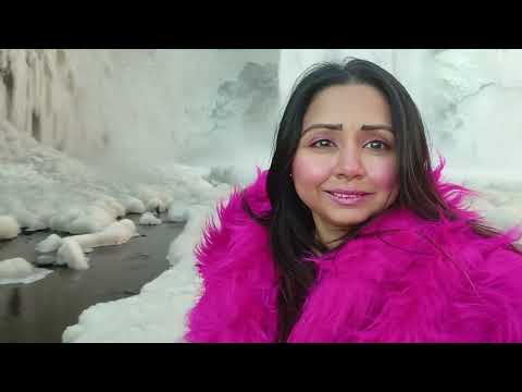 black sand beach - iceland