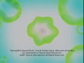United Plankton Pictures Inc Nickelodeon 2007