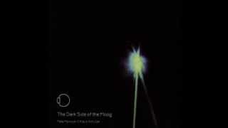 Pete Namlook & Klaus Schulze - The Dark Side of the Moog [Wish You Were There] [full album]