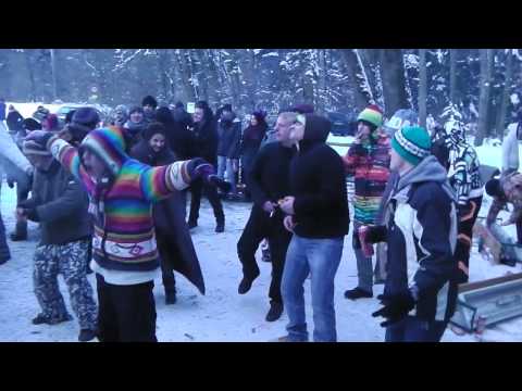 Mergel in Swiss - Baboons In Thongs (Morning)